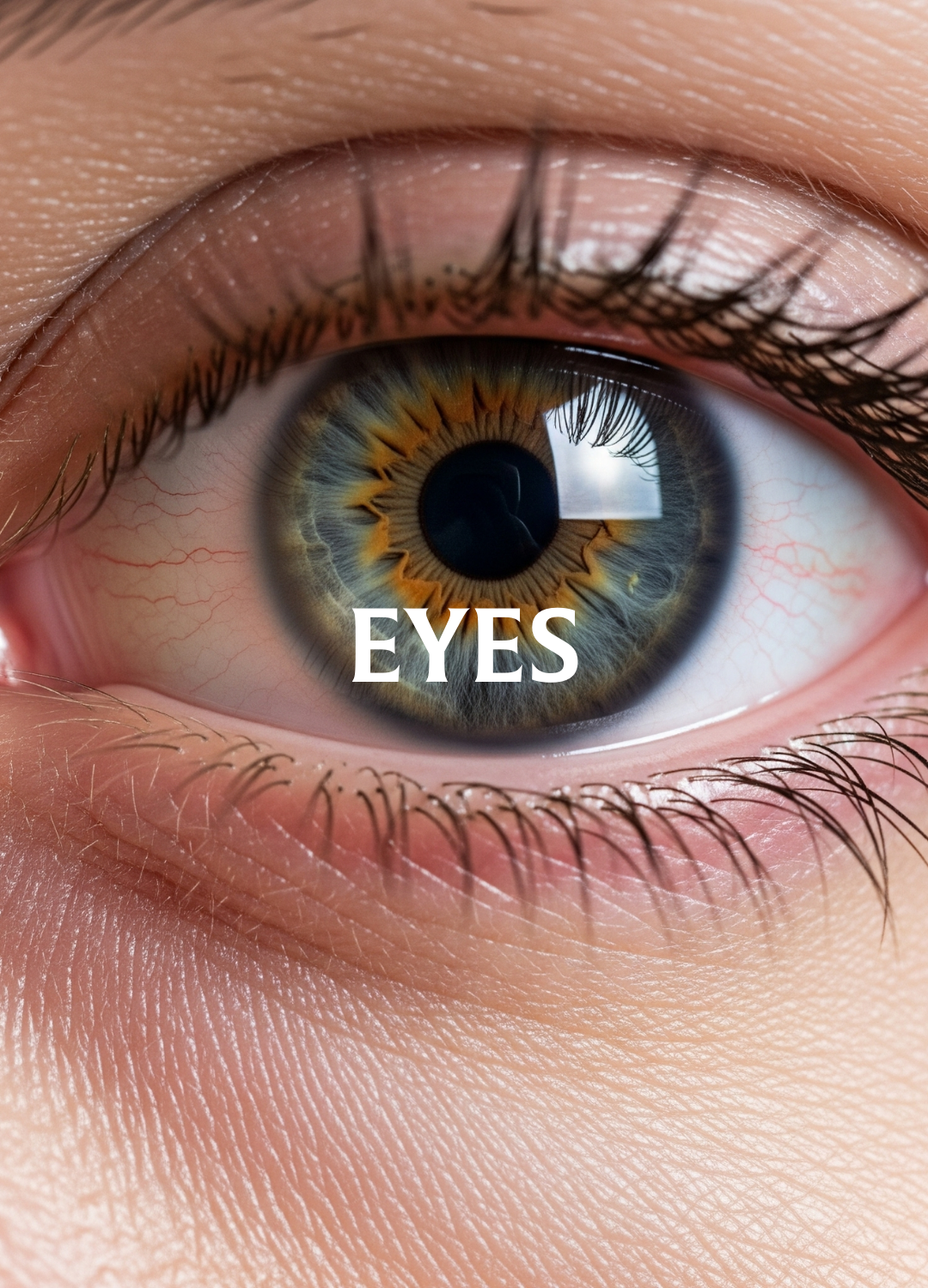 EYES